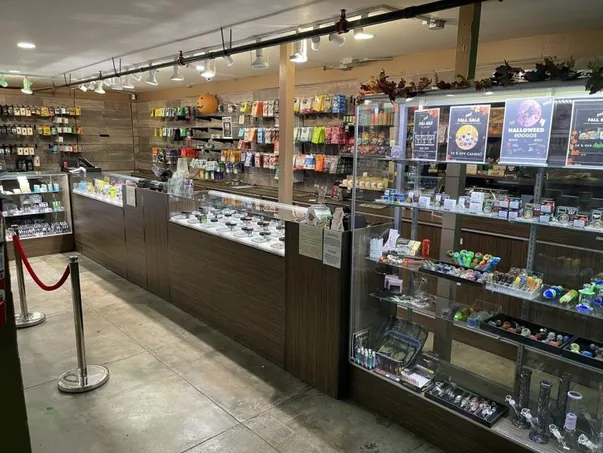 IMG 6241 scaled 1 768x576