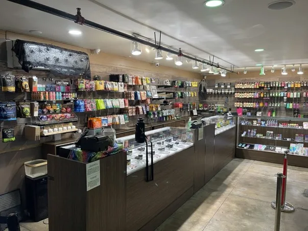 IMG 6242 scaled 1 768x576