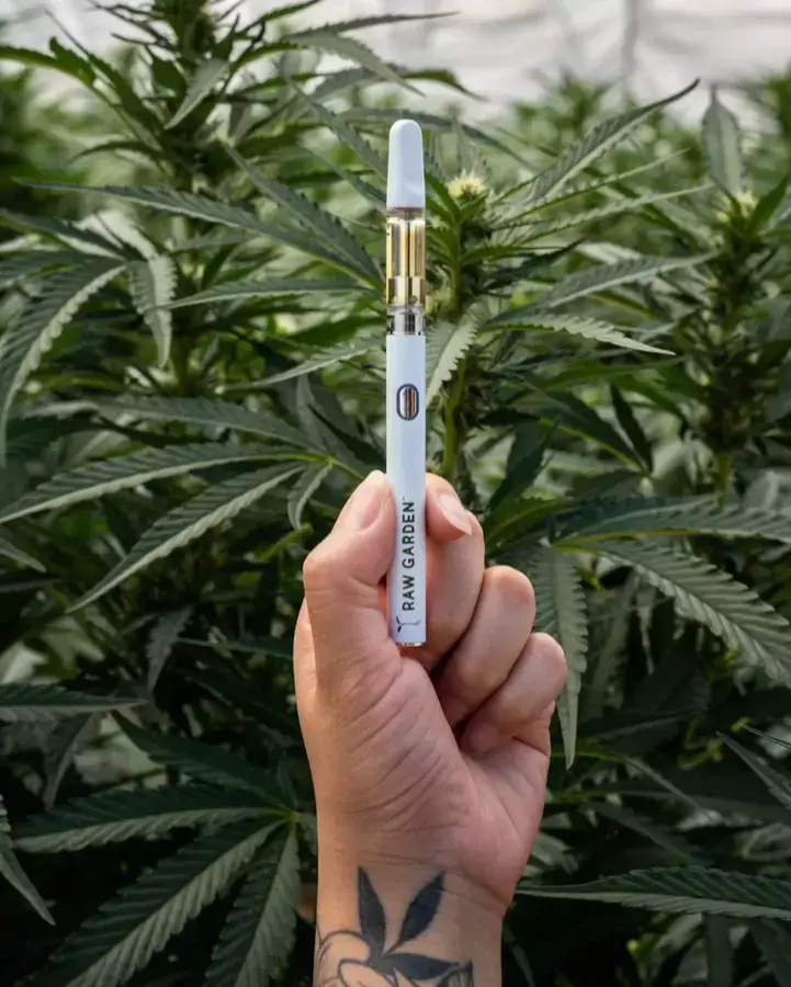 Raw Garden 6707d3fe87823